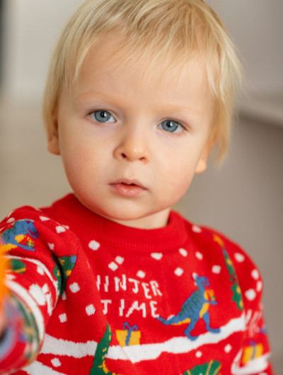 Арнольд Войковский